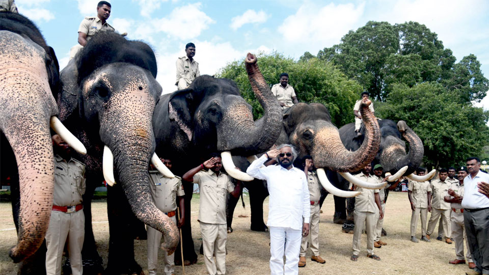State elephant handlers known for skills: Khandre