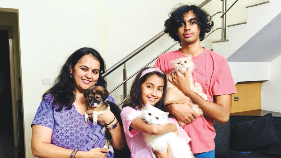 Star Pups: I am adopted…