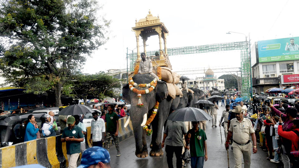 Debutant Sugreeva wins praises