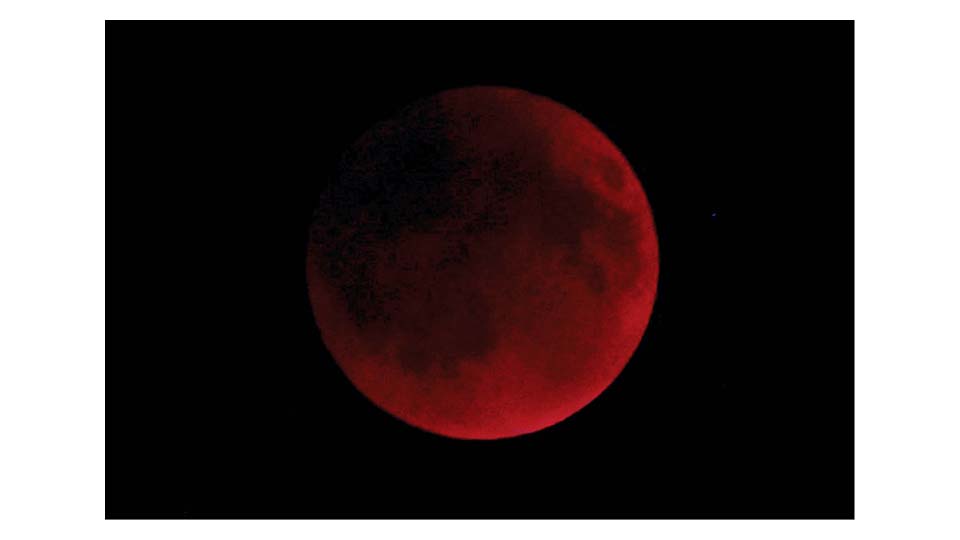 Stargazers mesmerised by rare blood moon