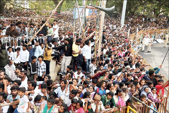 Flawless Jumboo Savari