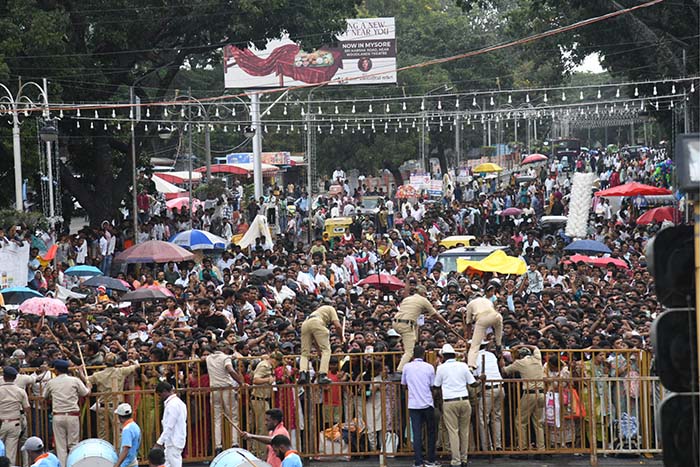 Flawless Jumboo Savari