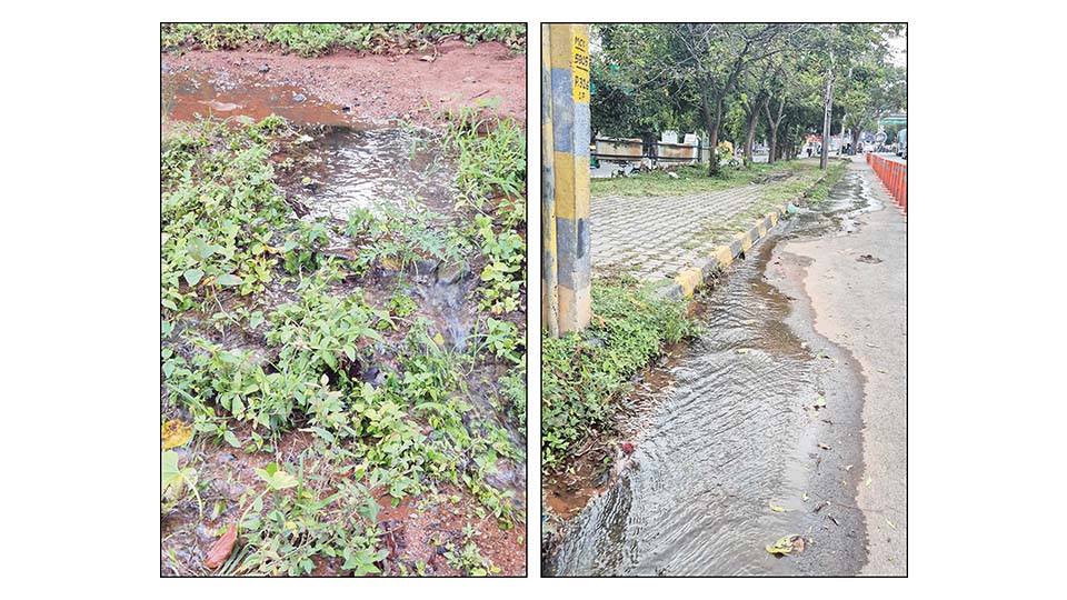 Unattended water flow for two months