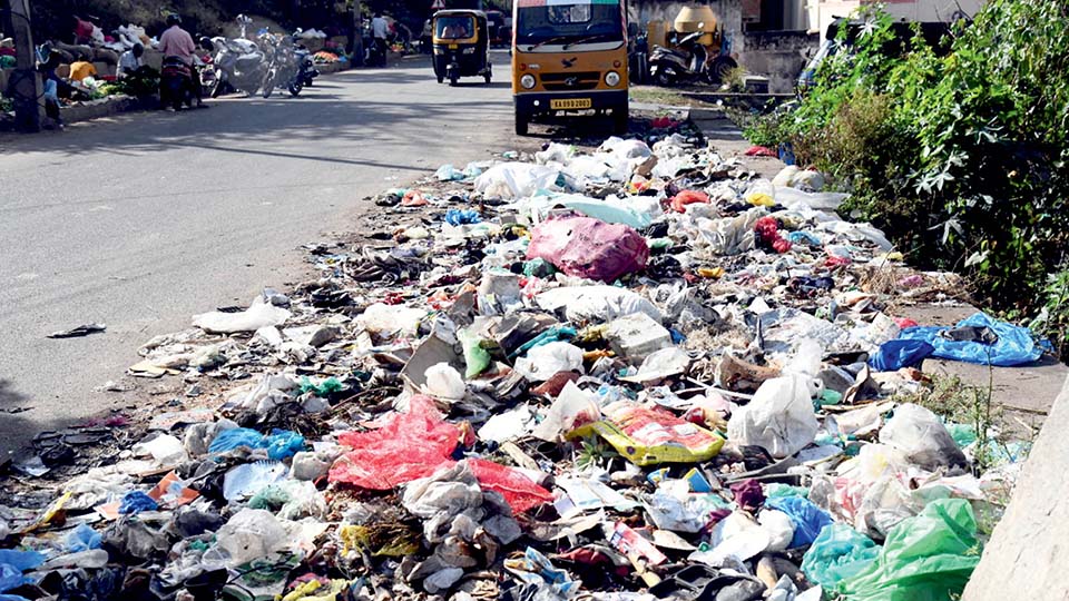 Dasara gone, filth remains