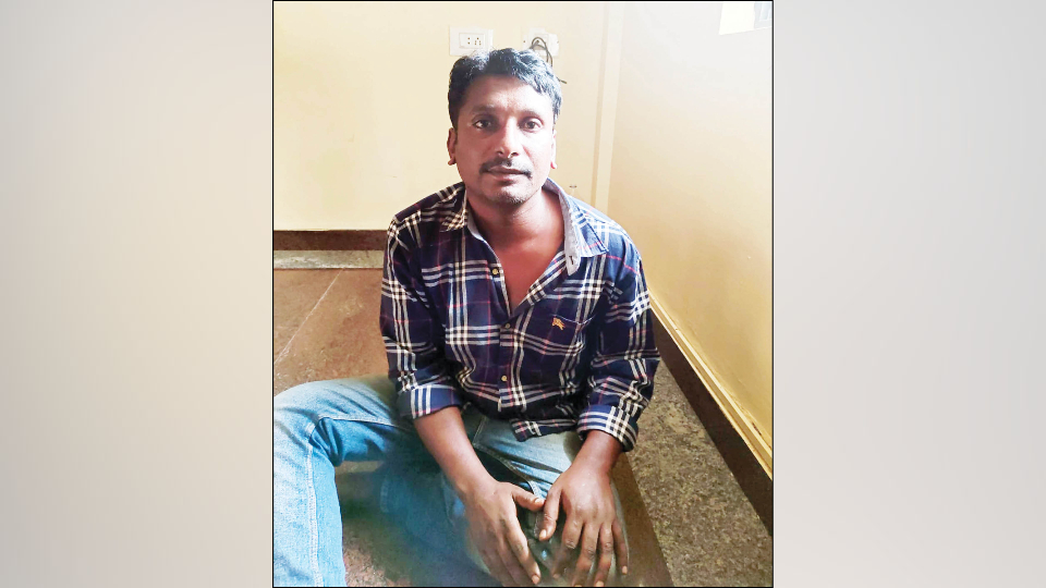 Notorious habitual burglar arrested