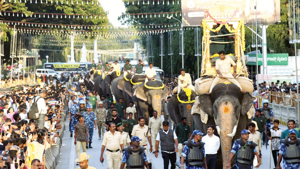 Crowds overwhelm elephant training