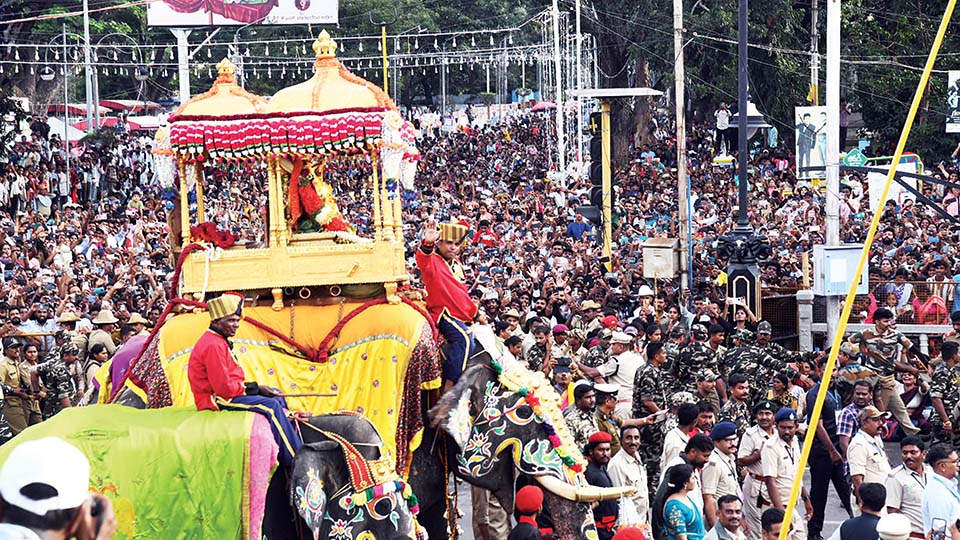 Flawless Jumboo Savari