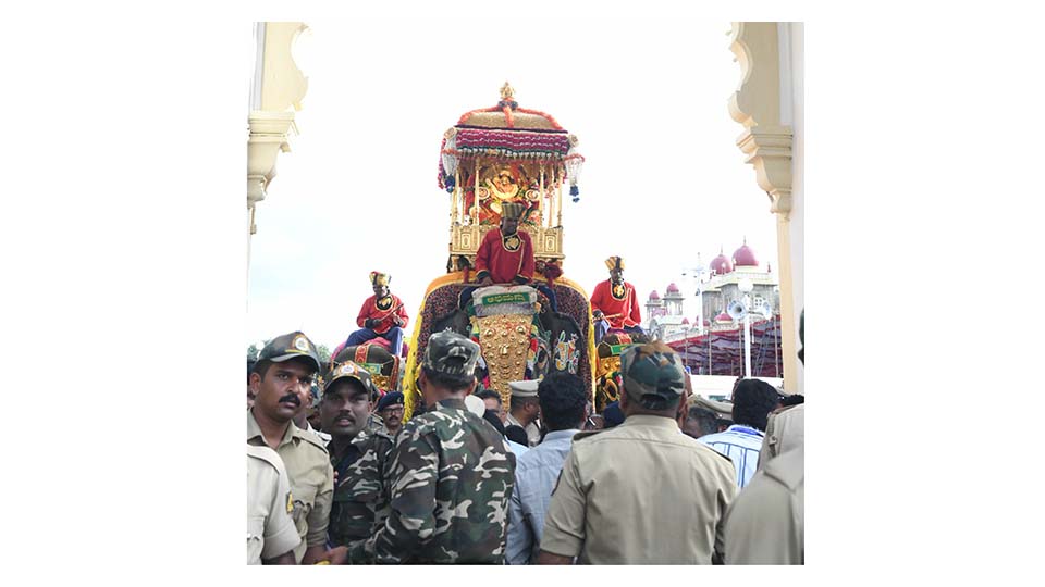 Golden Howdah mounted on Abhimanyu in 40 minutes