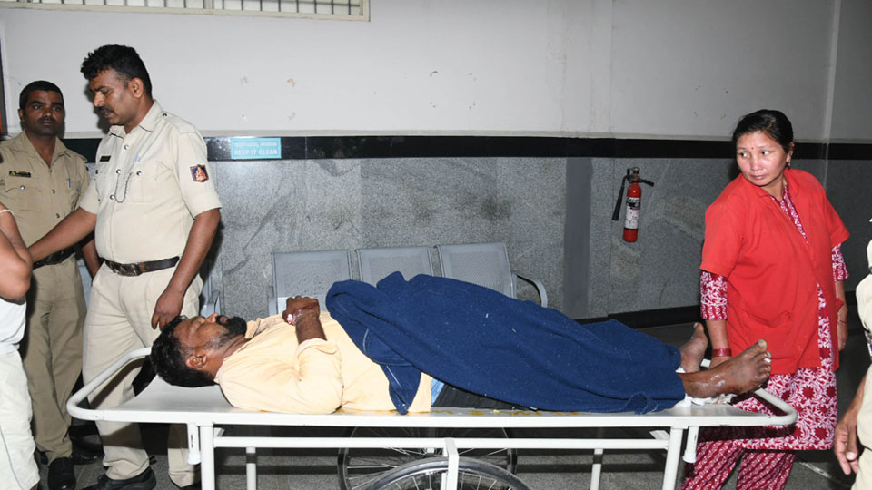 Predator struck twice!