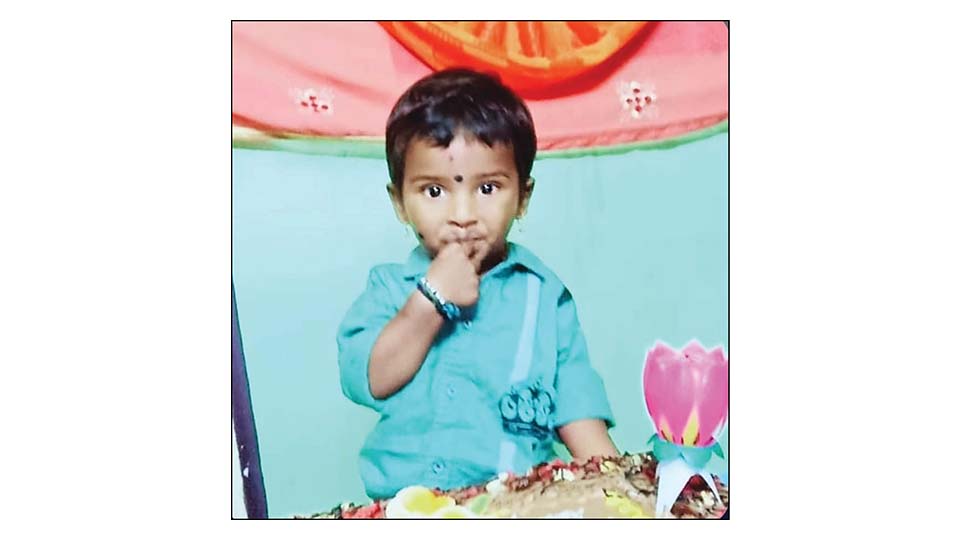 Hot oil spill from food stall kills boy