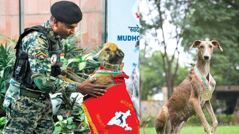 PM Modi hails inclusion of Mudhol Hound in BSF, CRPF