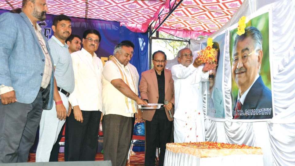 432 dogs show off their skills