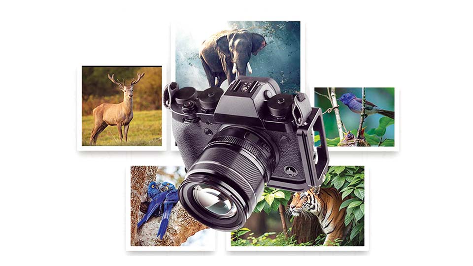 Prize winners of Zoo photography competition