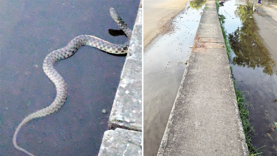 Water-logged box drain on Outer Ring Road