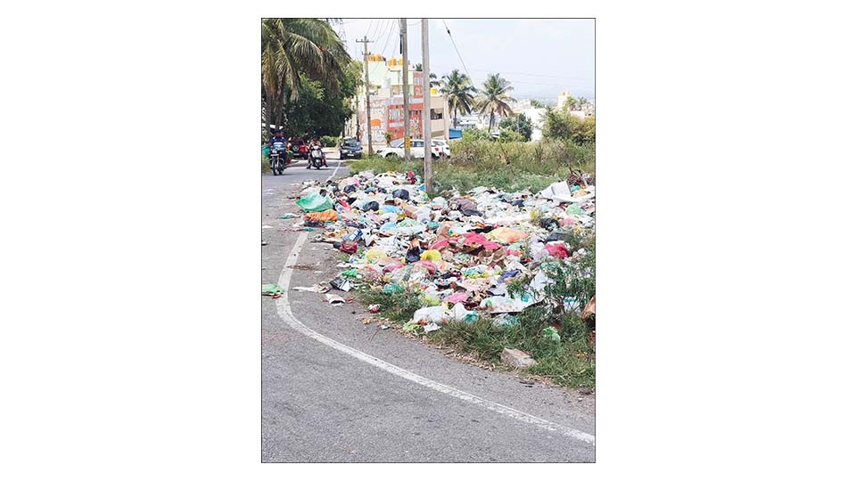 Unmitigated garbage dumping in Hebbal residential area