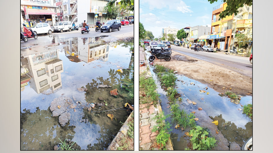 Dattagalli 3rd Stage crying for attention