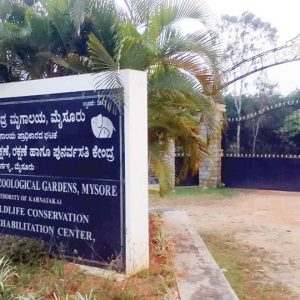 Koorgalli wildlife rescue centre runs out of space