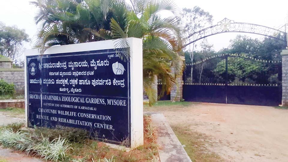 Koorgalli wildlife rescue centre runs out of space