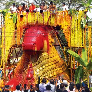Mahabhisheka to Nandi atop Chamundi Hill