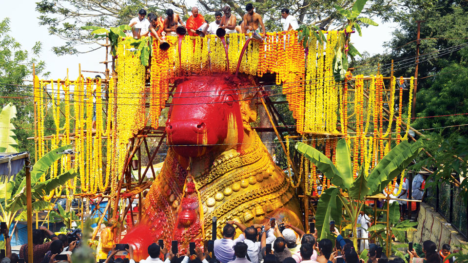 Mahabhisheka to Nandi atop Chamundi Hill