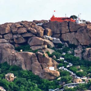 ‘Name Anjanadri Hill Range as Valmiki Wildlife Sanctuary’