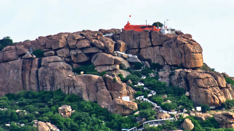 ‘Name Anjanadri Hill Range as Valmiki Wildlife Sanctuary’