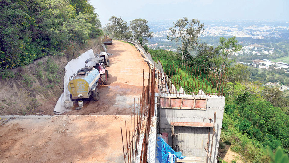 Nandi Statue Road work stalled again