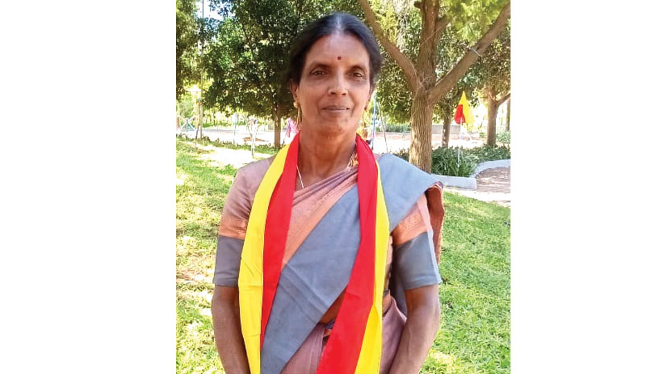 Miscreants masquerading as tenants attack elderly woman