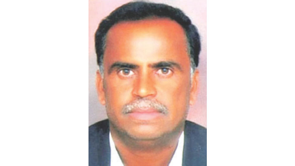 Lawyer killed in road accident