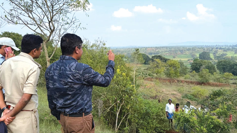 Tigers close to villages: 11 caught, 21 more roaming