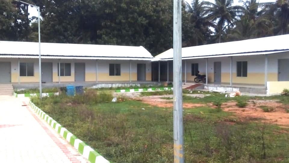 Public ire over delay in curbing stray dog menace, MCC blamed