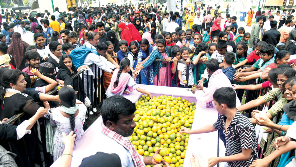 ‘It’s our day out’