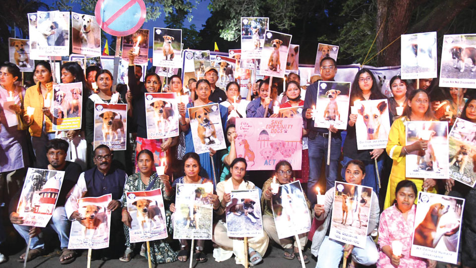 Protesters demand review of SC ruling on stray dogs
