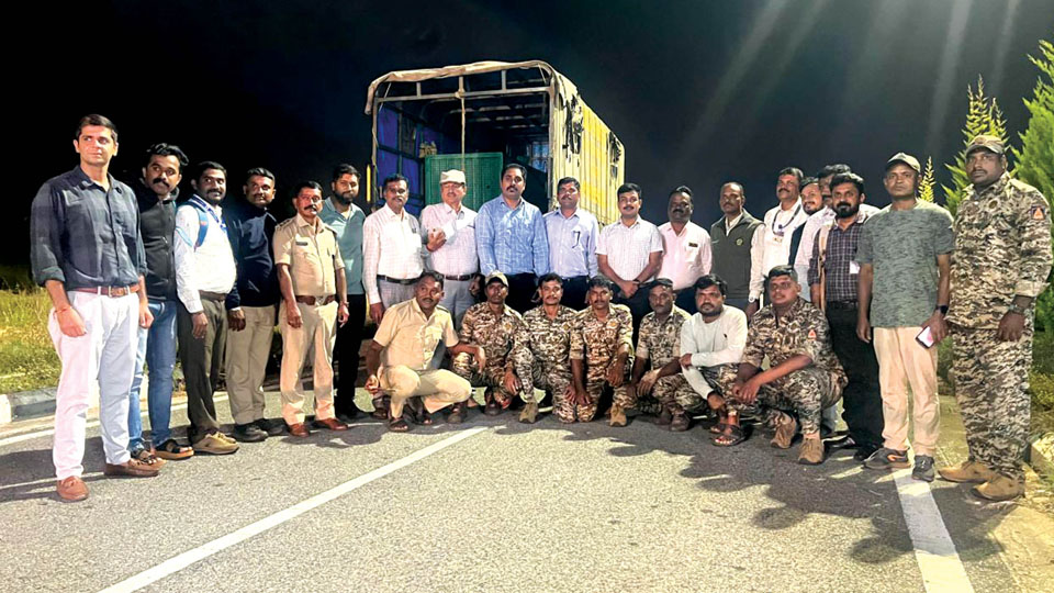 Tiger cub rescued; shifted to Bannerghatta