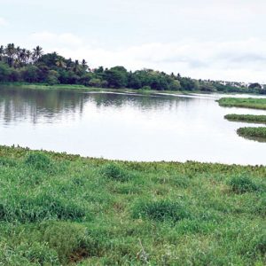 Samiti warns against cutting lake buffer zone