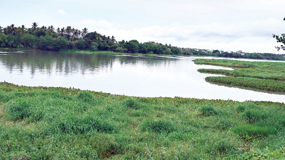 MDA launches Rs. 50 crore mission to revive 13 lakes