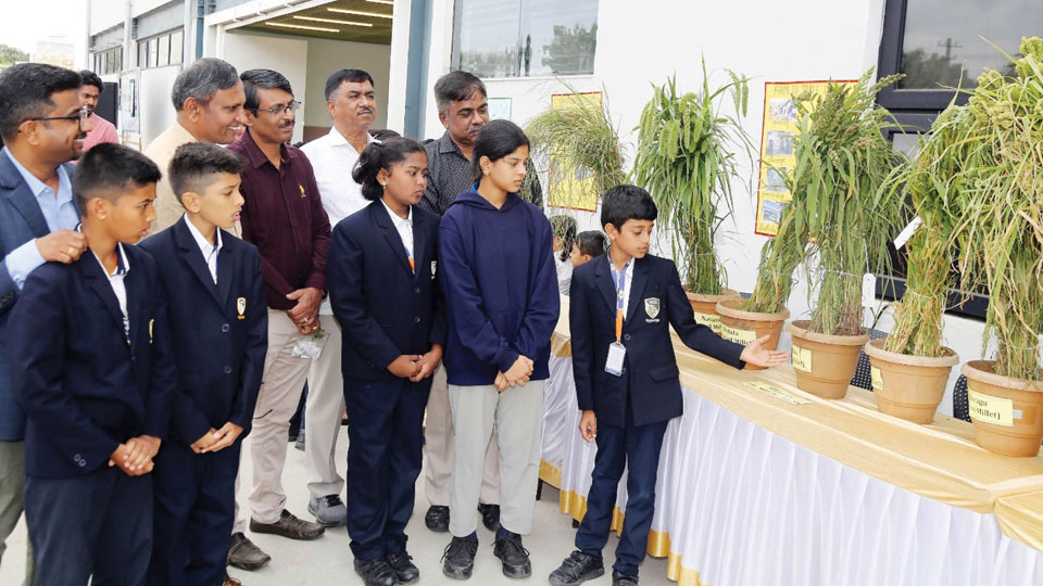 Nypunya school students exhibit their farming skills