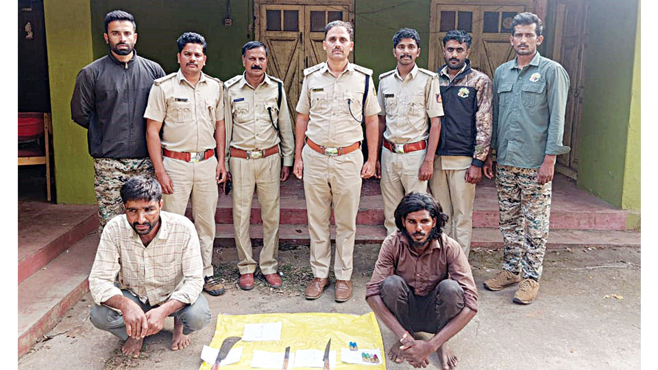 Two arrested for entering forest illegally