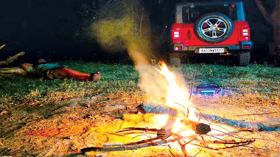 Biligiri Ranganatha Tiger Reserve (BRT)