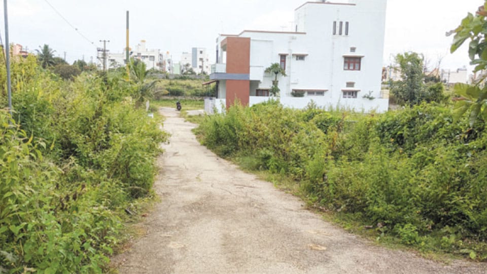 Woes of Drishti Enclave residents