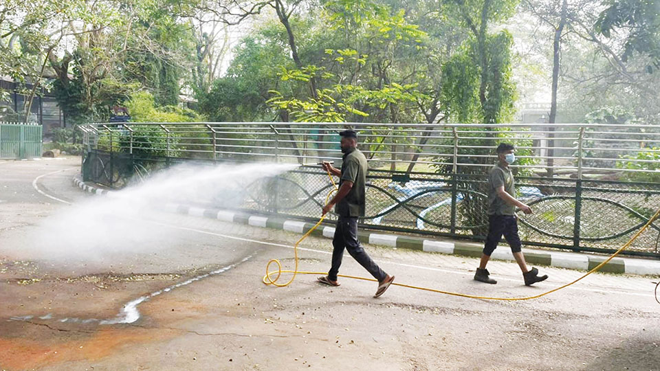 Glanders disease outbreak