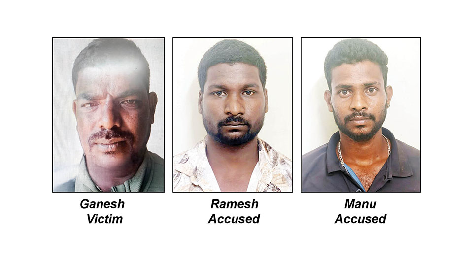 Wolf in Sheep’s clothing