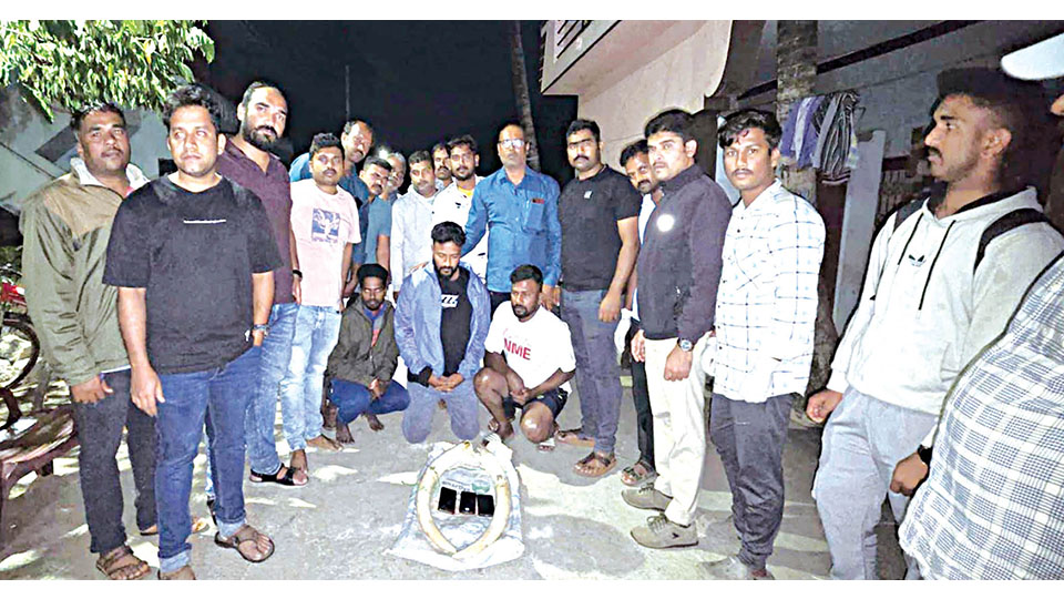 Ivory sale foiled, four arrested