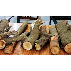 Sandalwood logs worth Rs. 1.5 lakh recovered; one held