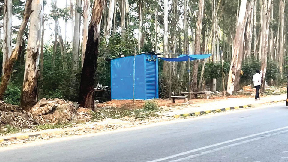 Two illegal shops razed near CFTRI junction