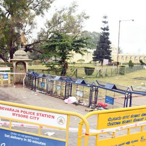 Palace draws thousands but lacks emergency service