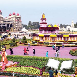 Mysore Palace Blooms