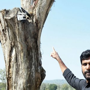 Preventing human-wildlife conflict: Bandipur adopts tech eye to track wildlife