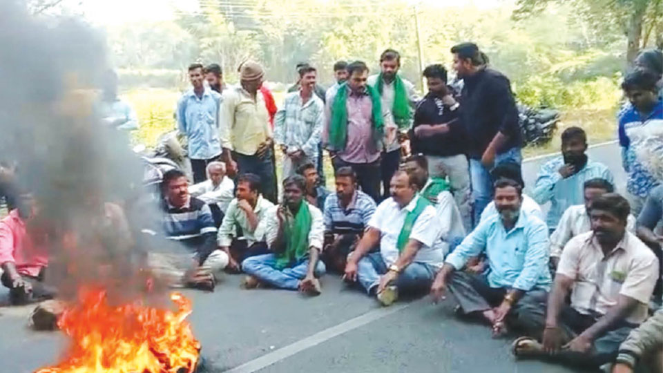 Tiger sighting: Villagers choke Hunsur Highway