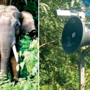 AI camera to check man-animal conflict